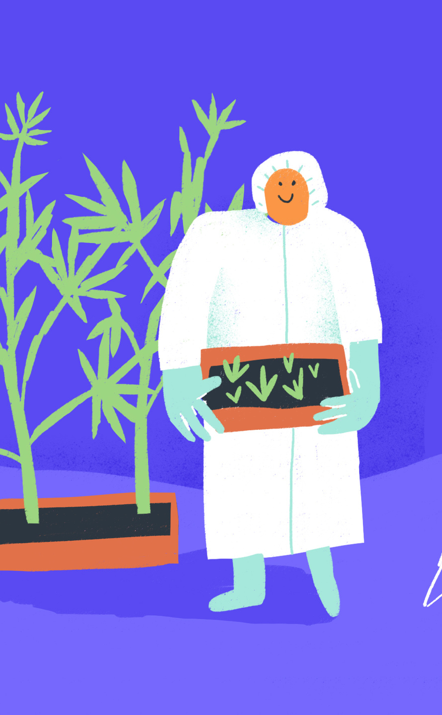 Трава, що лікує