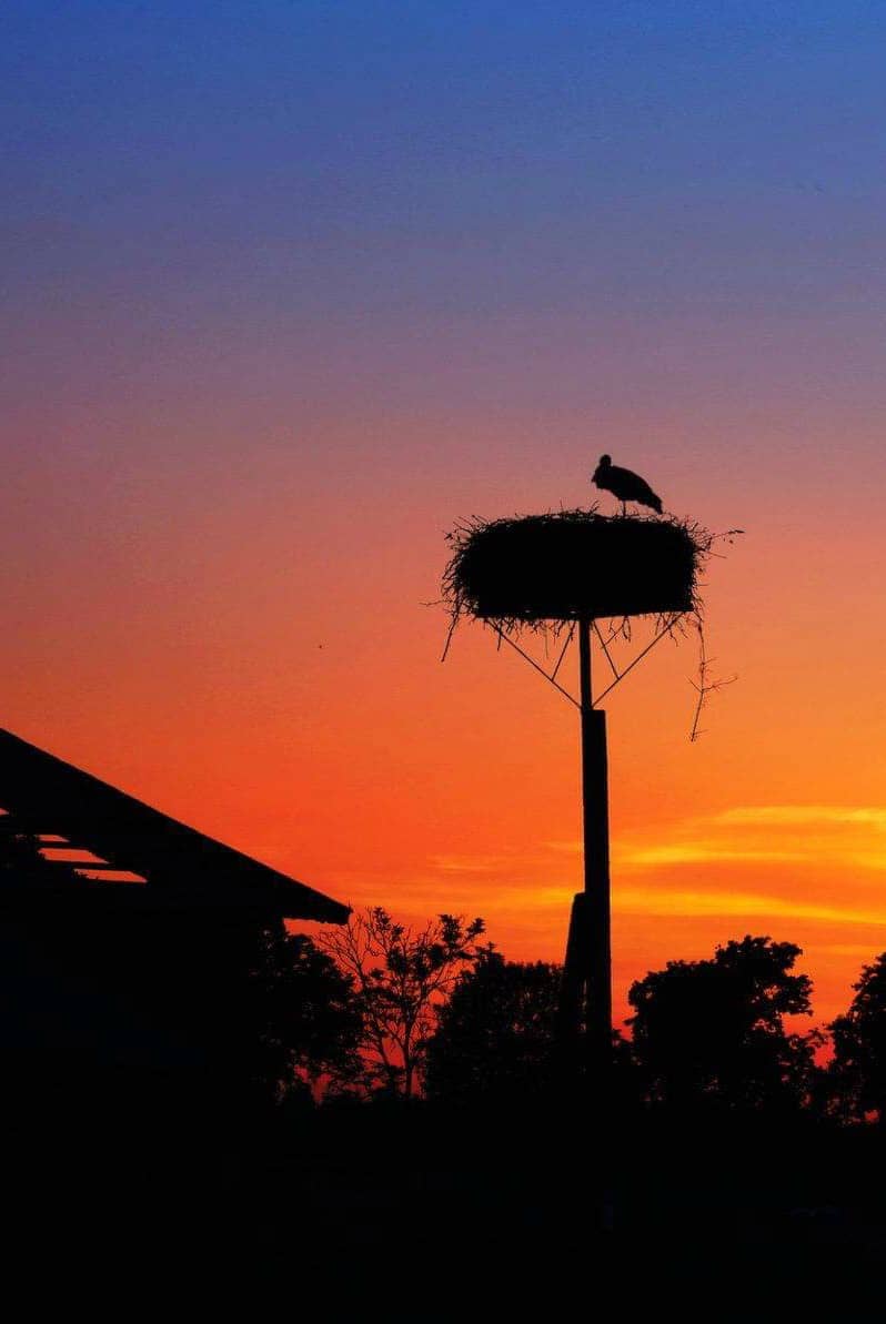 Останні українці Польщі