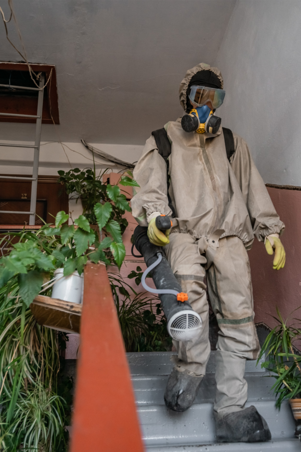 Столиця коронавірусу